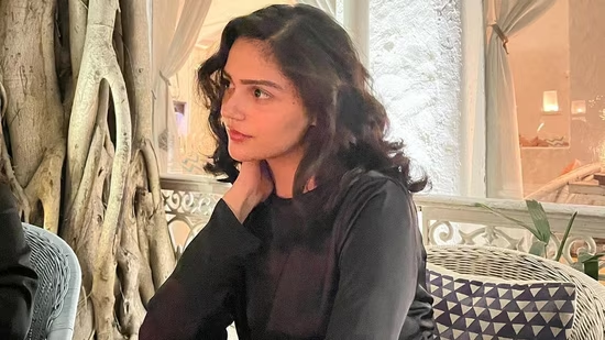 Aneet Padda Future Plan and Goals